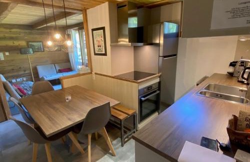 La Clusaz Apartment | Duplex 3 chambres pour 6 pers, proche village, ski aux pieds - FR-1-459-230