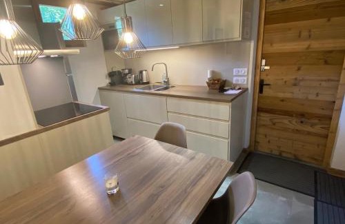 La Clusaz Apartment | Duplex 3 chambres pour 6 pers, proche village, ski aux pieds - FR-1-459-230