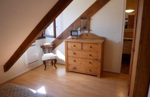 Sevrier Apartment | Duplex F2 avec terrasse vue lac, parking et WiFi – Annecy - FR-1-432-5