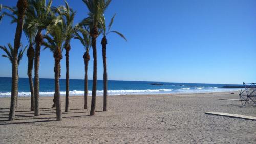 Old Town Apartment | DUPLEX - PLANTA BAJA HappyVila