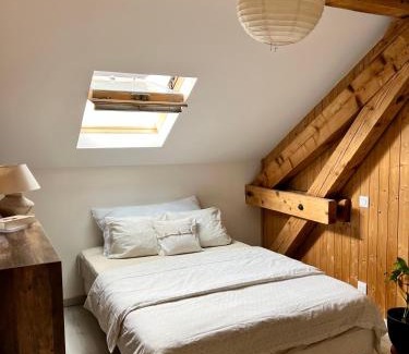 Sallanches Apartment | Duplex Suite centre parking