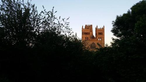 Carrville Bed & Breakfast | Durham City Retreat