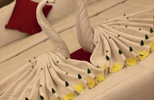 Akshi Hotel | Durva Palace
