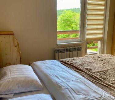 Skole House | Dvir