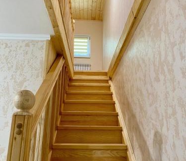 Skole House | Dvir