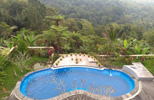 Penebel Bed & Breakfast | DWan Tea Mountain Side