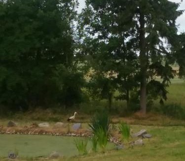 gmina Bedzino Bed & Breakfast | Dworek Natury