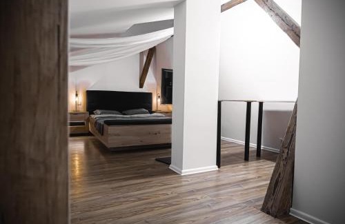 Bydgoszcz Apartment | Dwupoziomowy Apartament Królowej Jadwigi 3