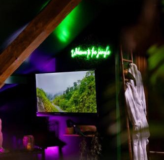 Holtzheim Apartment | Dynasty Jungle Home Spa Jacuzzi