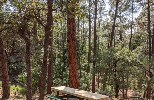 Prescott RV Rental | E1 Outdoor Recreation OHV Trails Mountain Biking
