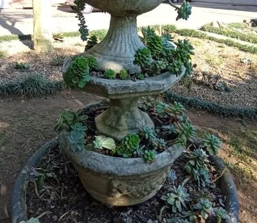 uMlalazi Bed & Breakfast | Eagles Nest Bed & Breakfast