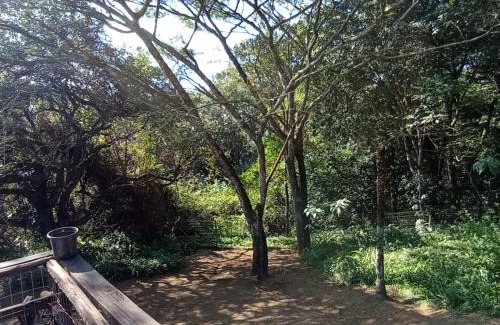 uMlalazi Bed & Breakfast | Eagles Nest Bed & Breakfast