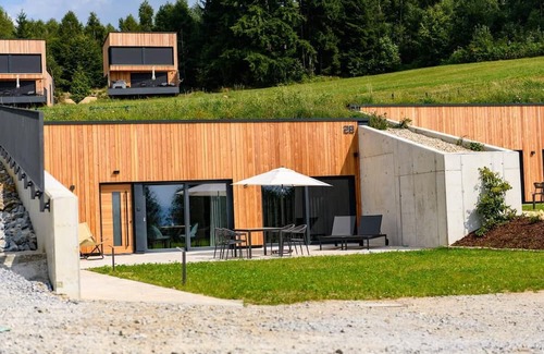 Bodenmais Ski Chalet | Earth house with far-reaching views of the valley - sauna and whirlpool