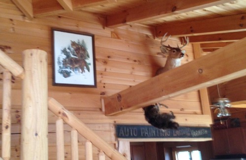 Hampton Cabin | East Tennessee Large Mountain Log Cabin