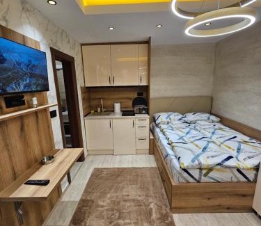 Lisina Apartment | Ebra 75 Kraljevi Cardaci Kopaonik