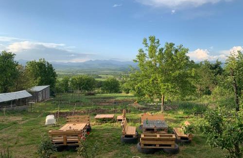 Tsilkani House | Eco family guest house