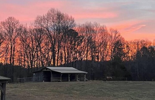 LaFayette RV Rental | Eco-Friendly Glamping Tent