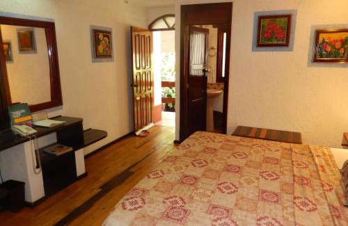 Downtown Cancun Hotel | Eco-hotel El Rey del Caribe