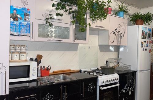 Naryn House | Eco house