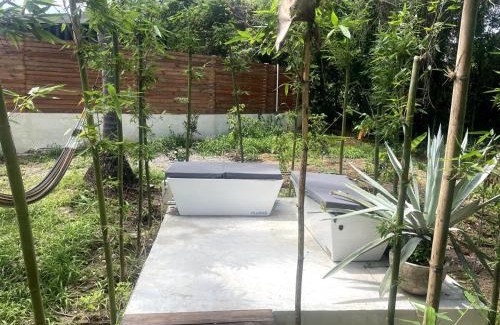 Saladita Apartment | Eco Retreat 100m from La Saladita Surf -Templo Master Casa