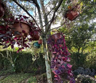 Alajuela House | Eco Villas Tambor Tucanes