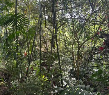 Alajuela House | Eco Villas Tambor Tucanes