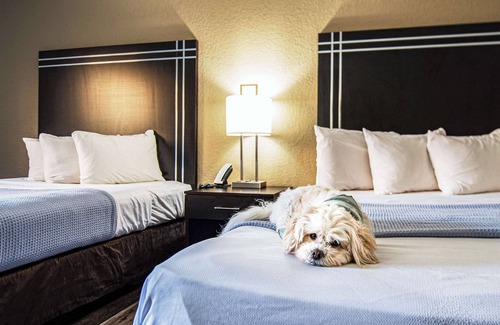 Streetsboro Hotel | Econo Lodge Cleveland Southeast - Kent