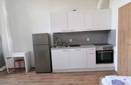 Rohansky ostrov Apartment | Economic group apartment with single beds