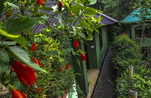 Devikolam Resort | Ecotones Munnar