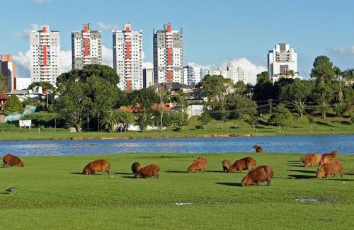 Bigorrilho Apartment | Ed. Vitoria | Bairro mais requisitado de Curitiba | Gonzaga Stays