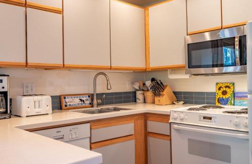 Warm Springs Apartment | Edelweiss Condo 223B