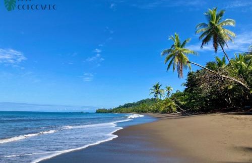Drake Bay House | Eden Corcovado
