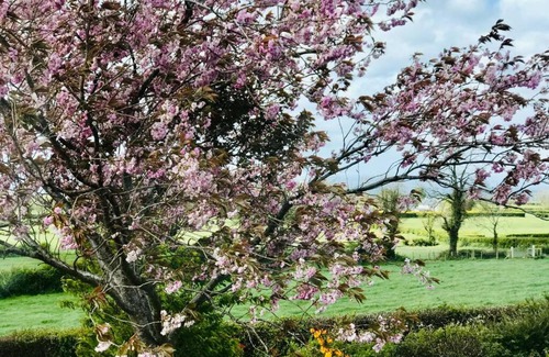 Lisburn House | Eden Cottage