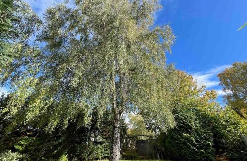 Bamford House | Edge view, outdoor adventure focused cottage, sleeps 8
