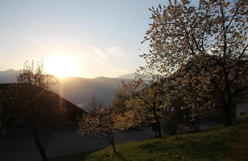 Verano Apartment | Eichernhof Apartment Apfelblüte