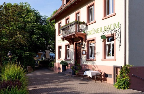 Merzhausen Apartment | Einzelzimmer mit Dusche und WC