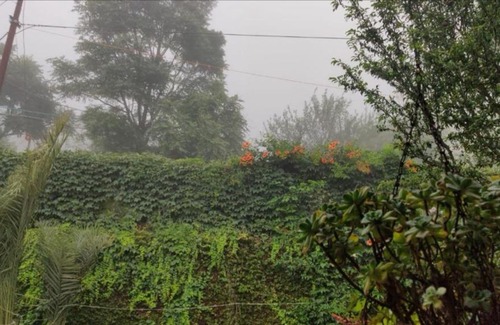 Solan House | Ekant Villa