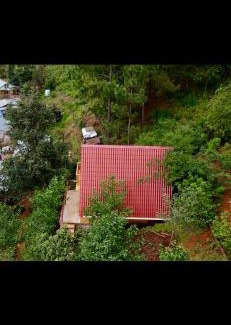San Jose del Pacifico House | El abrazo del viento