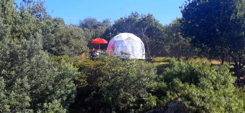 Guatavita Other | El Alpino Cabaña Glamping & Camping
