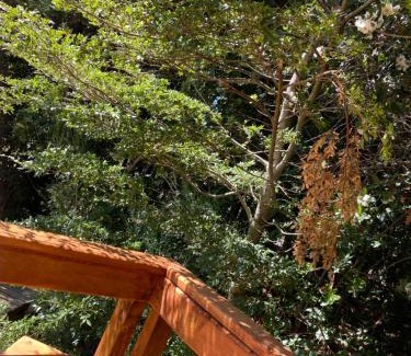 Pucon House | El Awen Domos