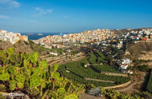 Las Palmas de Gran Canaria Apartment | El balcón de San Nicolás