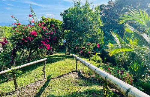 Puerto Jimenez Bed & Breakfast | El Cerrito