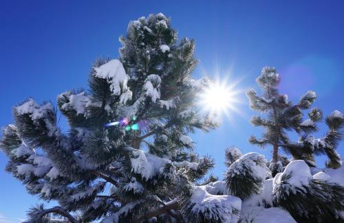 Farellones Ski Chalet | El Colorado Bungalows