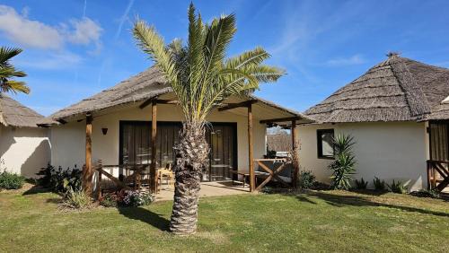 Castell-Platja d'Aro Other | EL DELFÍN VERDE RESORTS - Platja d'Aro