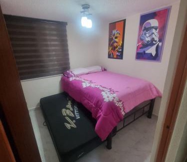 Venustiano Carranza Apartment | El depa de Natalia a min de aeropuerto y estadio GNP