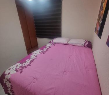 Venustiano Carranza Apartment | El depa de Natalia a min de aeropuerto y estadio GNP
