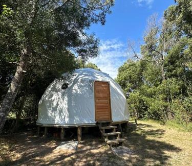 Maldonado House | El Domo del ALF La Paz entre el bosque y el mar II