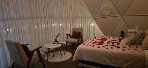 San Miguel Regla Other | El Gato Glamping con vista al valle