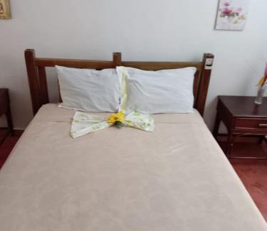 Las Galeras Hotel | El jardín del coco