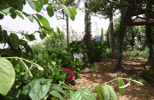 La Orotava Cottage | "El pajar de Inés" Rural house with views of Mount Teide